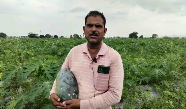Kothagudem Farmer