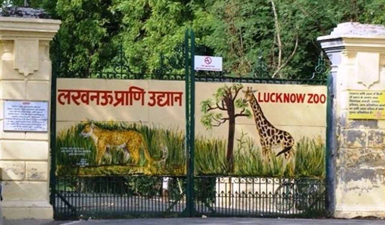 Lucknow: Exotic animals rescued in zoo