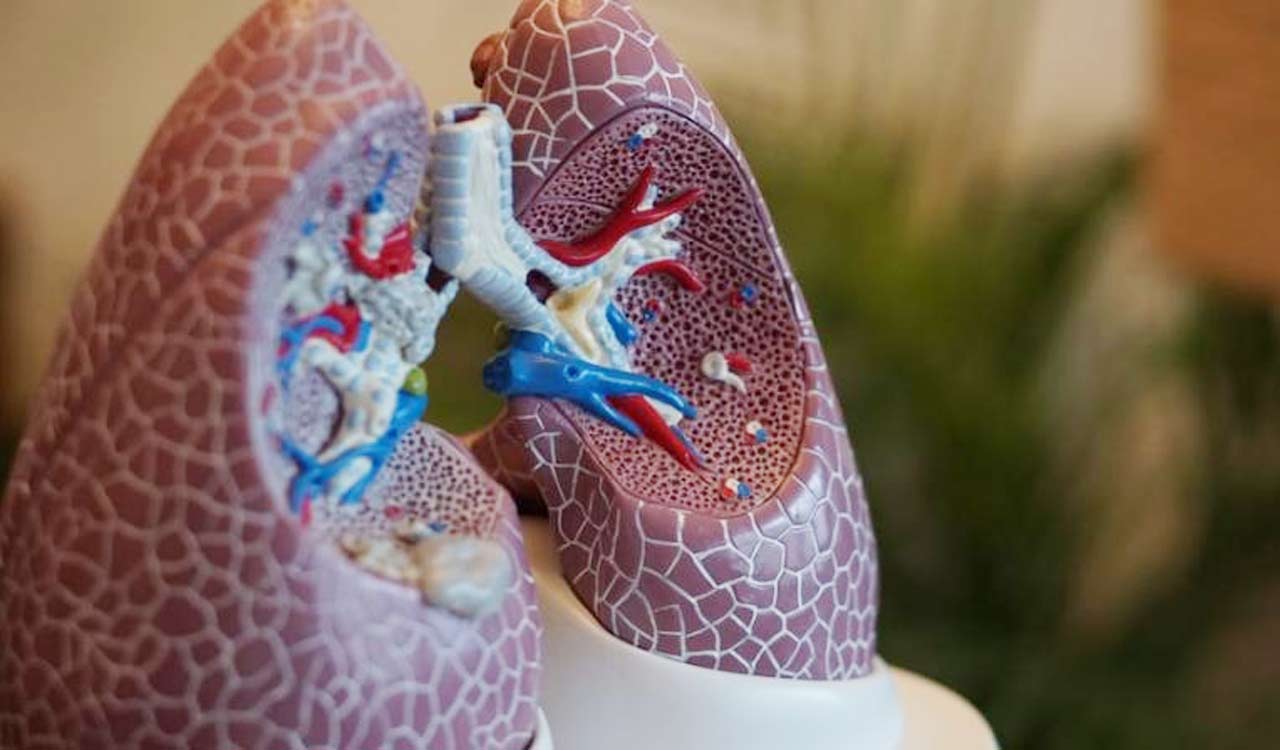 Scientists create robot for navigating living lung tissue