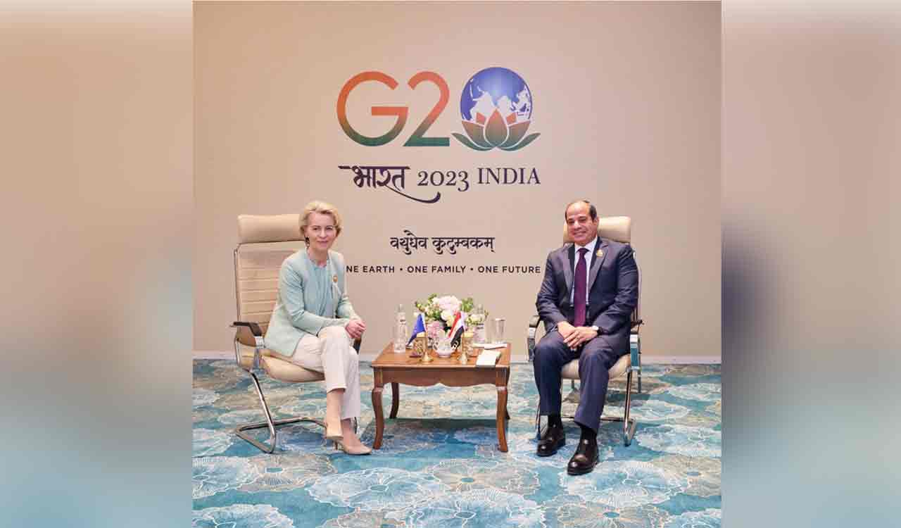 EU to invest 4 bn euros in renewable energy, hydrogen in developing economies in next 5 years: EC President