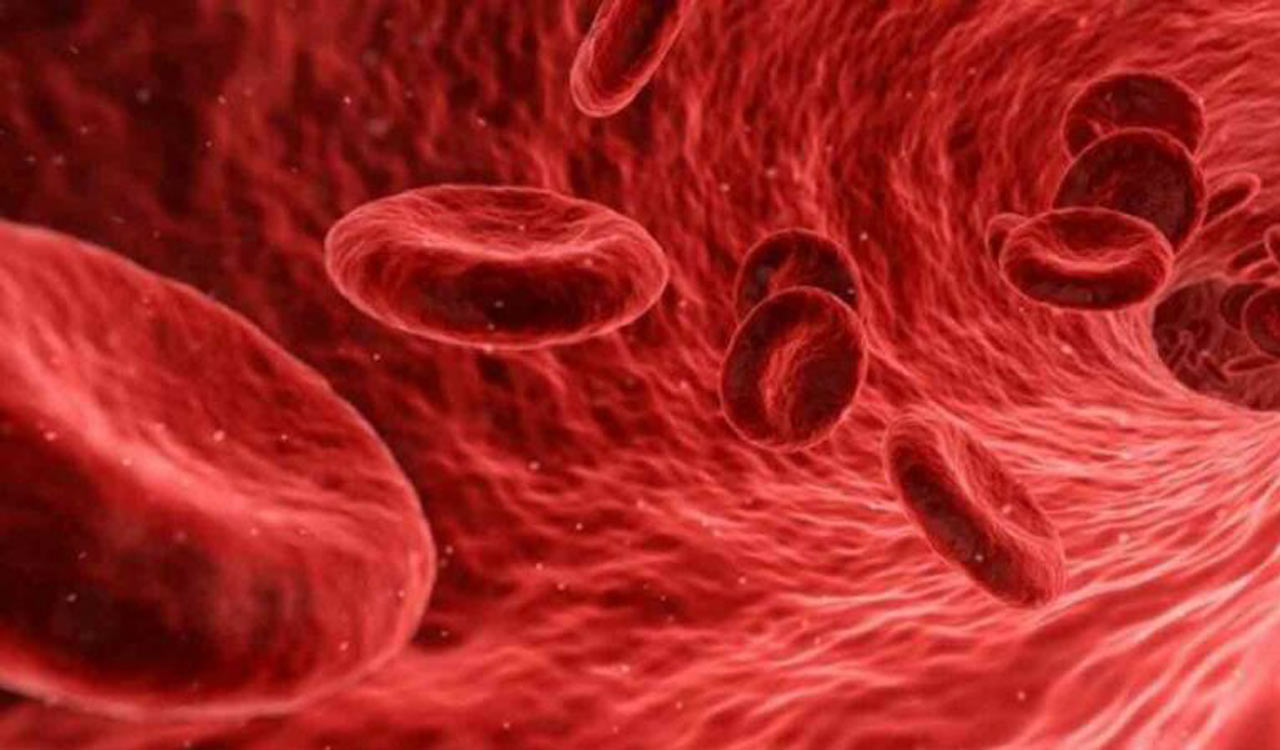 Antioxidants stimulate blood flow in tumours: Research