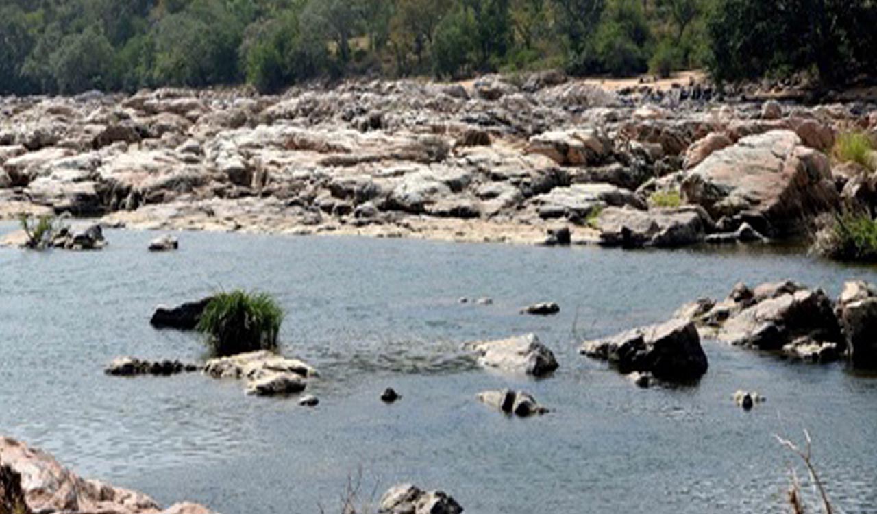 Cauvery issue: TN farmers to protest in eight districts on Sep 20