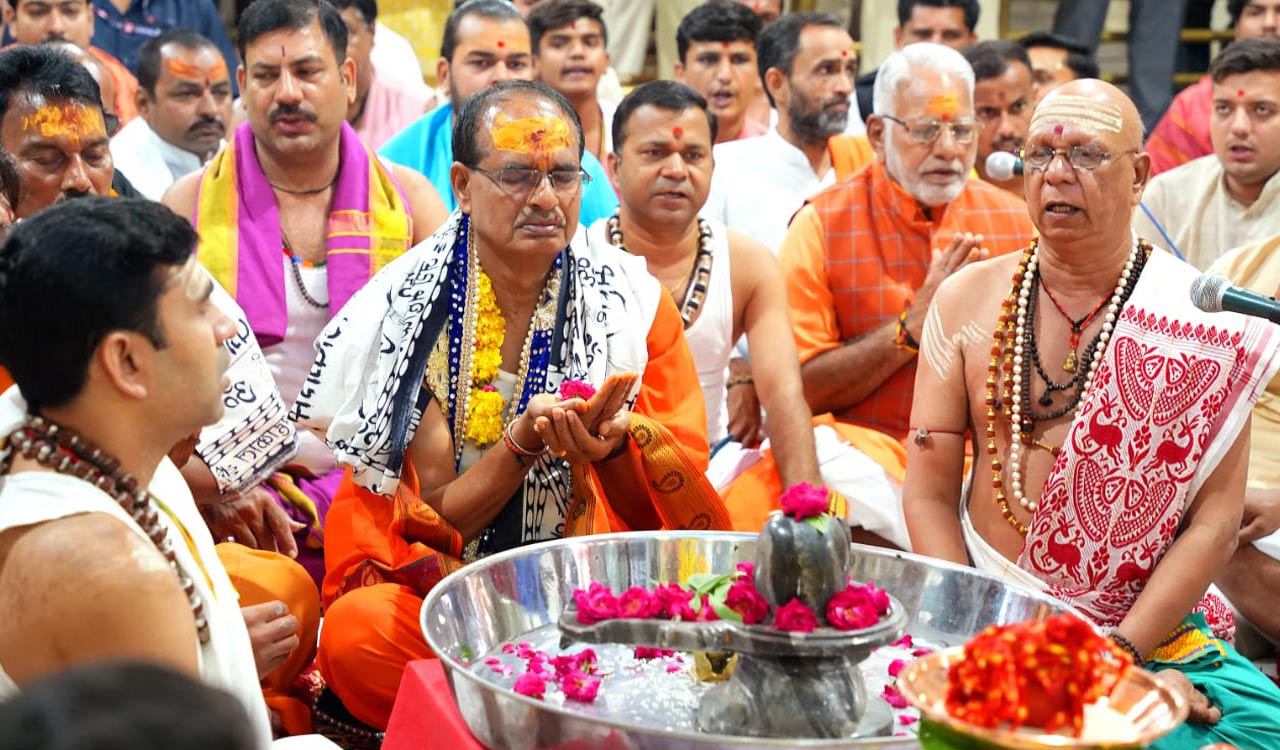 Drought-like situation, power crisis in Madhya Pradesh: CM Chouhan