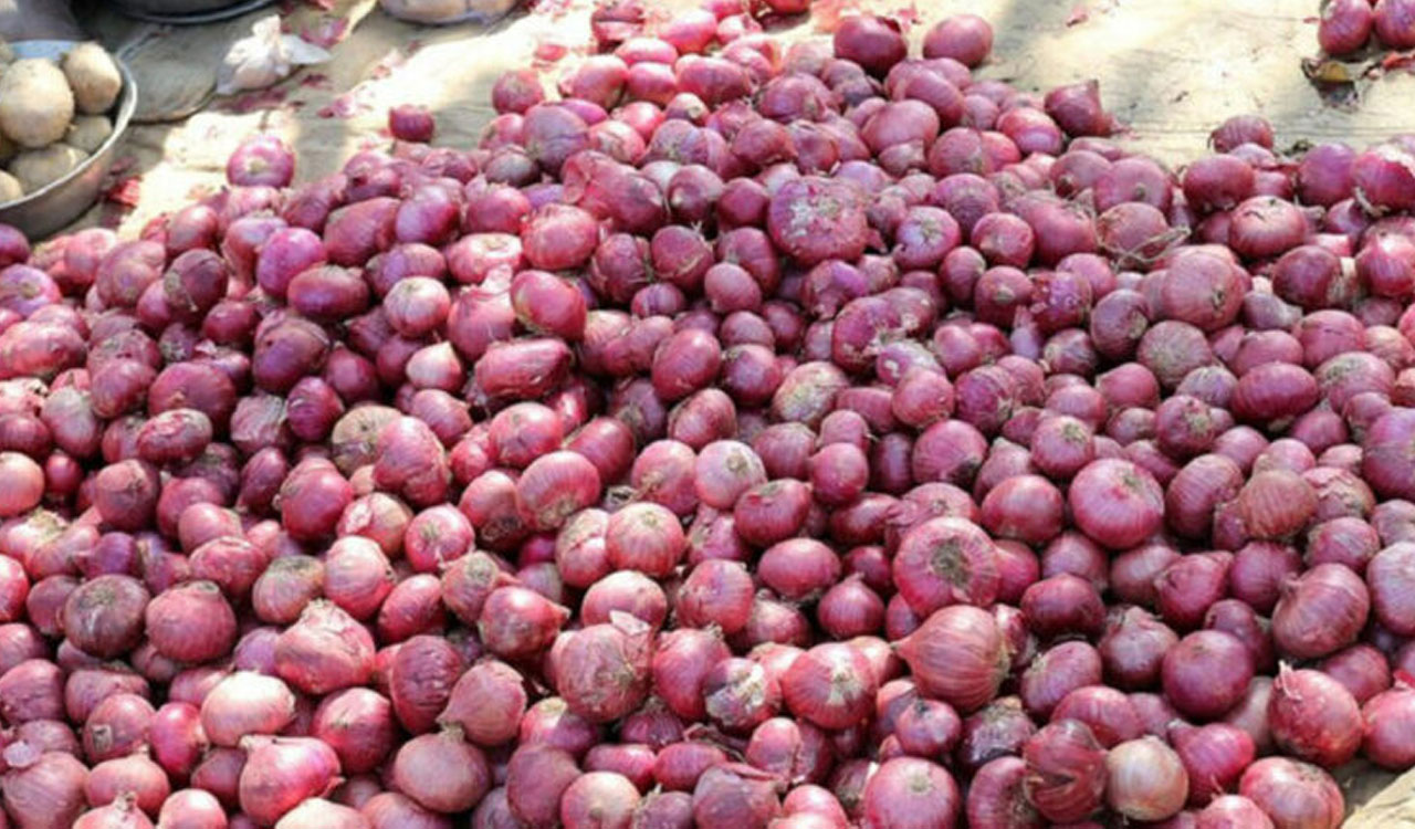 Maharashtra: Onion traders in Nashik go on indefinite strike over export duty