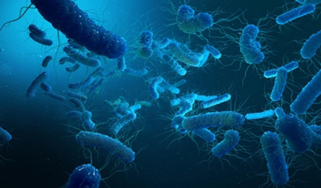 Scientist engineered bacteria to generate electricity from wastewater ...