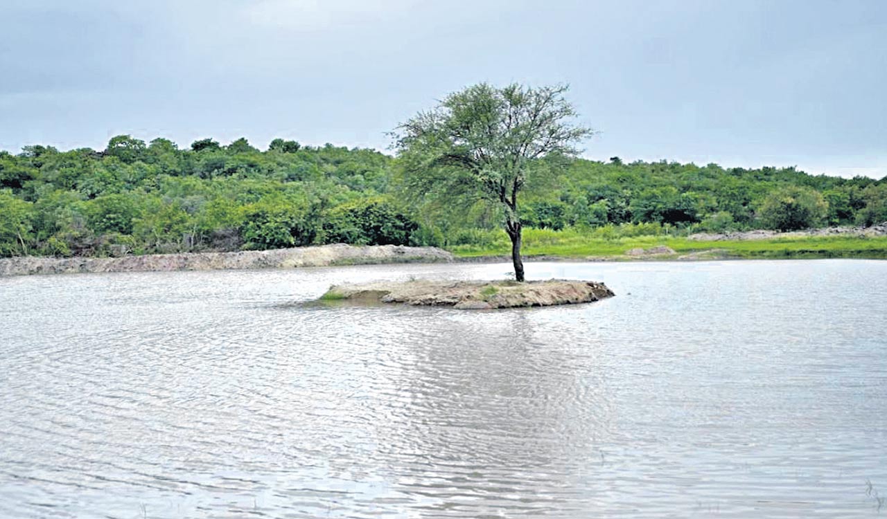 Forest farms, a way of life