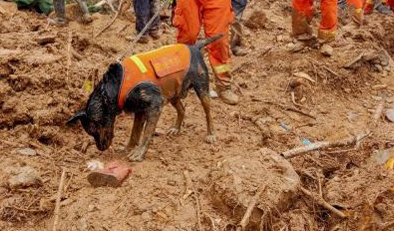 7 missing, 3 injured in rain-triggered landslides in China-Telangana Today