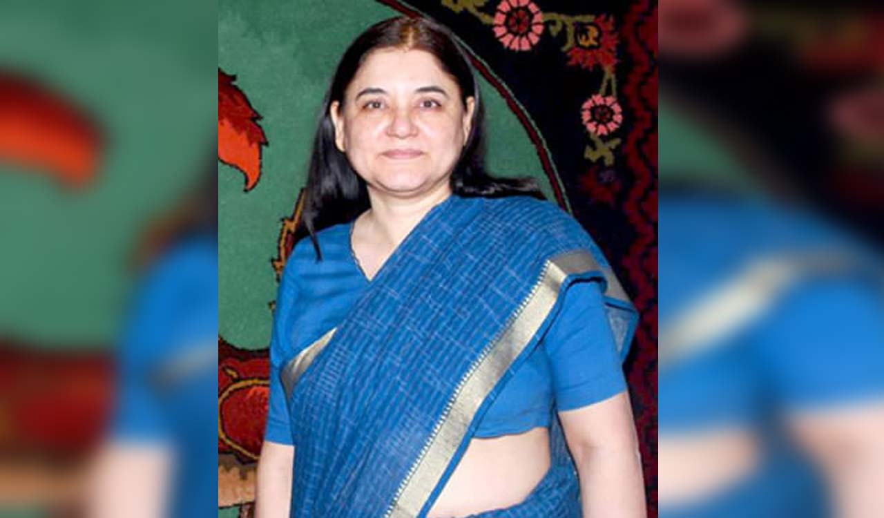 Maneka Gandhi claims ISKCON sells cows to butchers; temple authority hits back