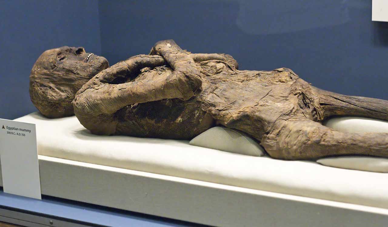 What would an ancient Egyptian corpse have smelled like? Pine, balsam and bitumen – if you were nobility