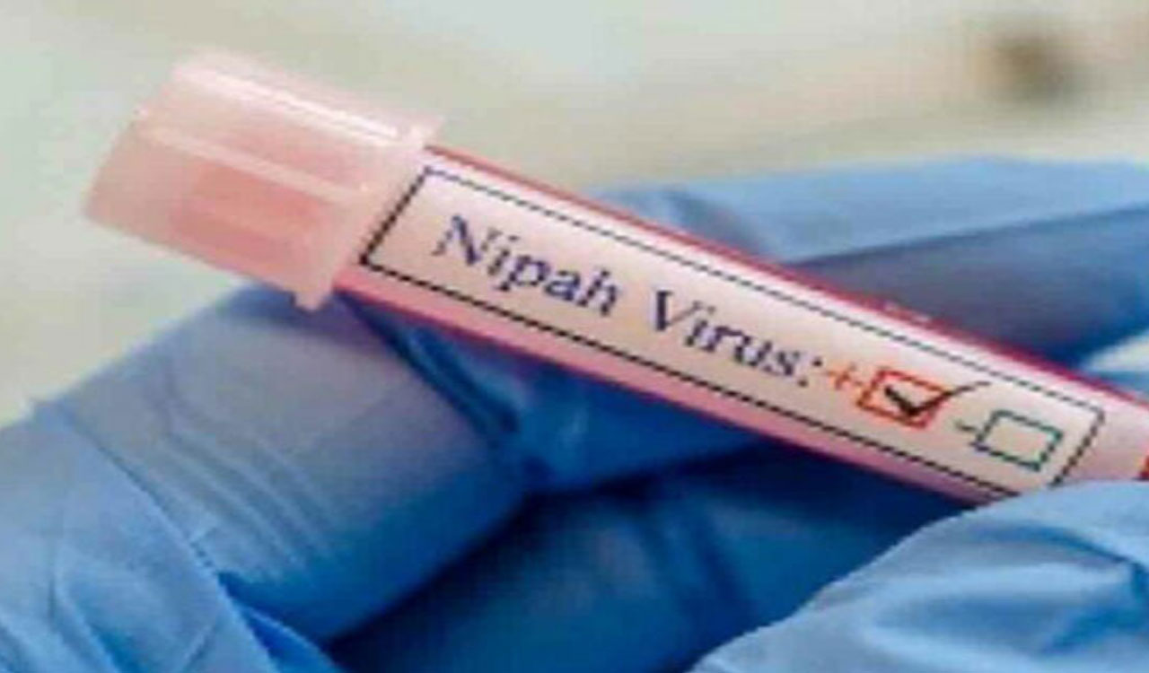 Explained: The resurgence of Nipah virus in Kerala