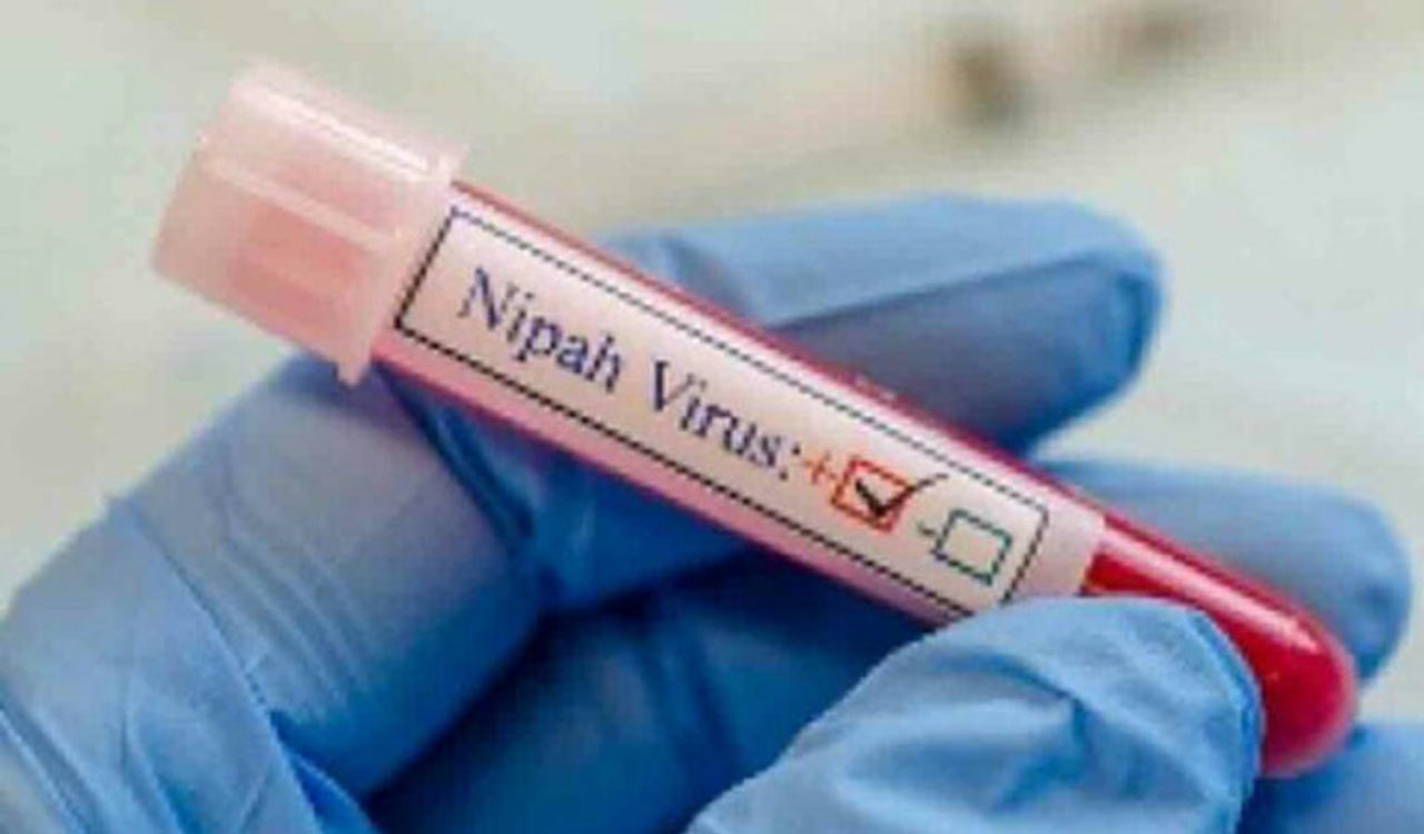 One more person infected with Nipah in Kerala