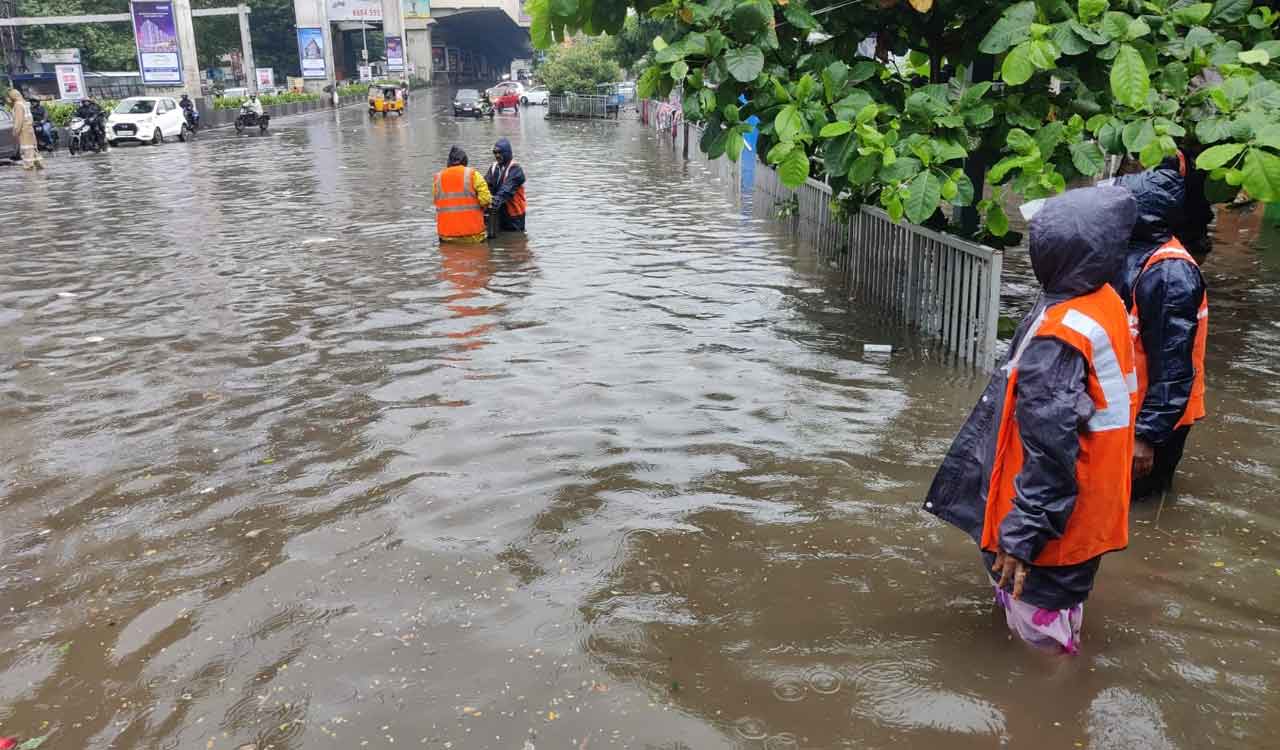 Hyderabad Rains: Birds, Animals Stranded; Here’s What You Can Do To 