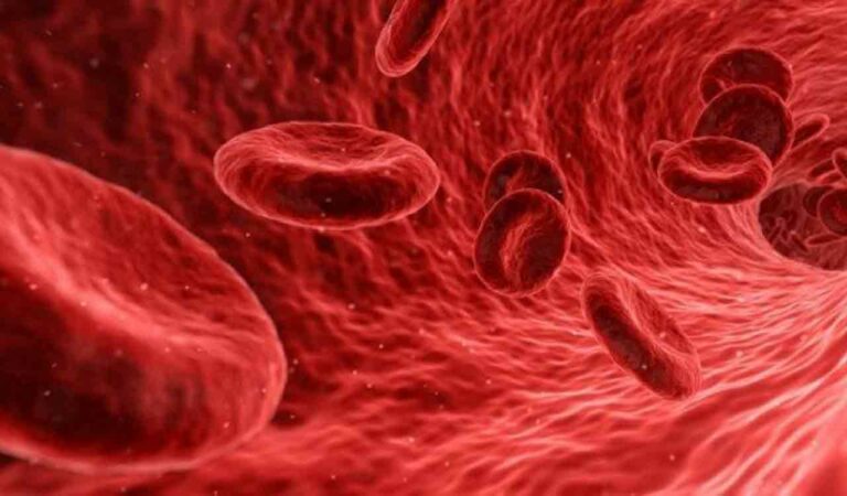 Naturopathy can help treat blood clots