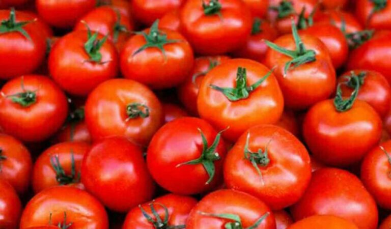 Twenty days ago, one kg of tomato was sold at Rs.30 to Rs.40 and it shot up to Rs.60 a week ago. Within the last few days, it has gone up to Rs.100.