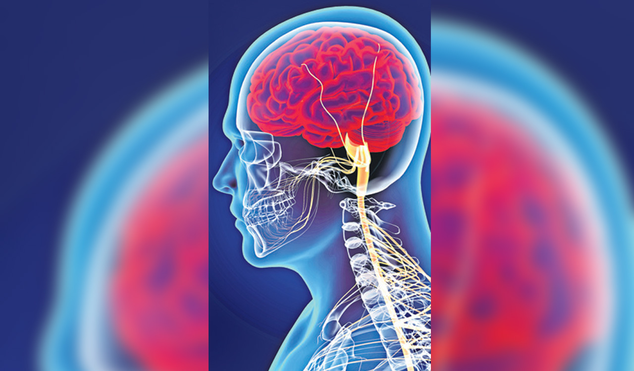 How inflammation causes memory loss, brain fog of long Covid explained   