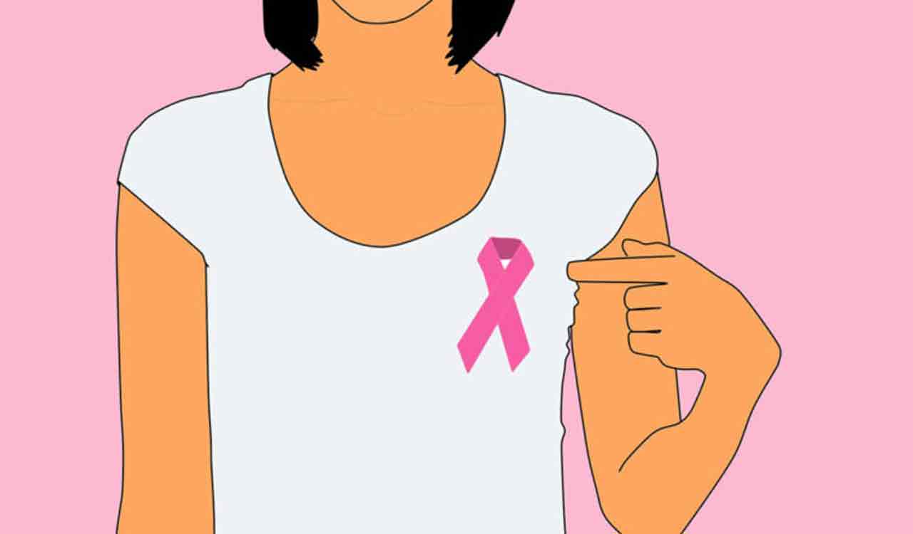 What you should eat during breast cancer treatment?