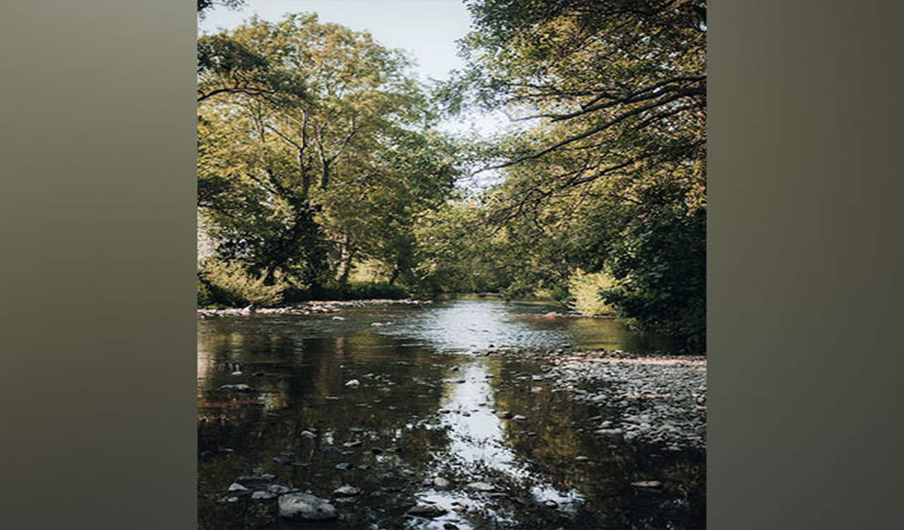 Increased saline spells trouble for freshwater insects like mayflies: Study