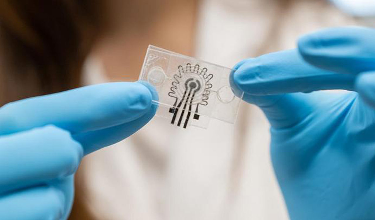 Innovative wearable sensor tracks glucose, body temperature through sweat