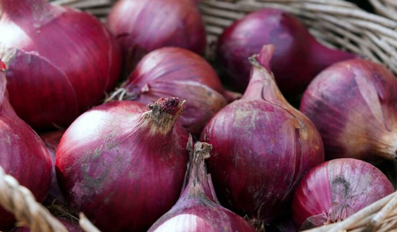 India permits 4,750 tonnes of onion exports to Bhutan, Bahrain, Mauritius