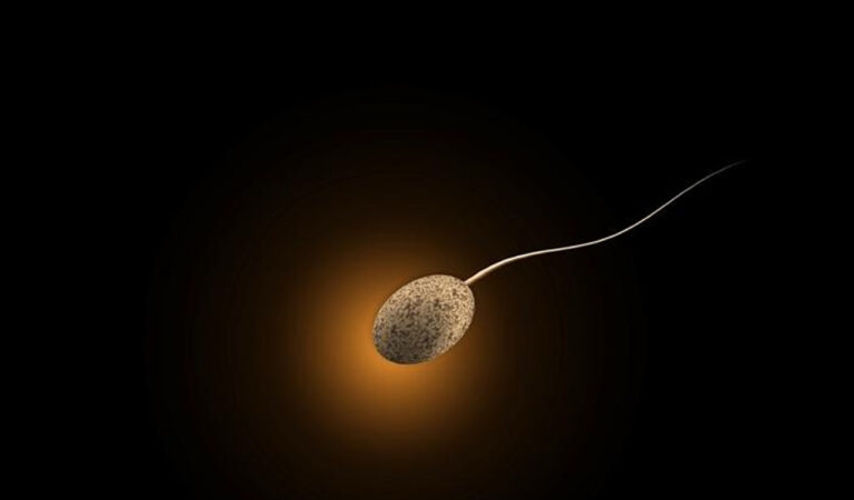 Telangana sees rapid decline in fertility rates