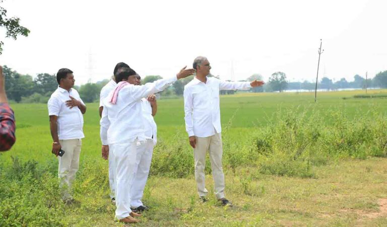 Harish Rao
