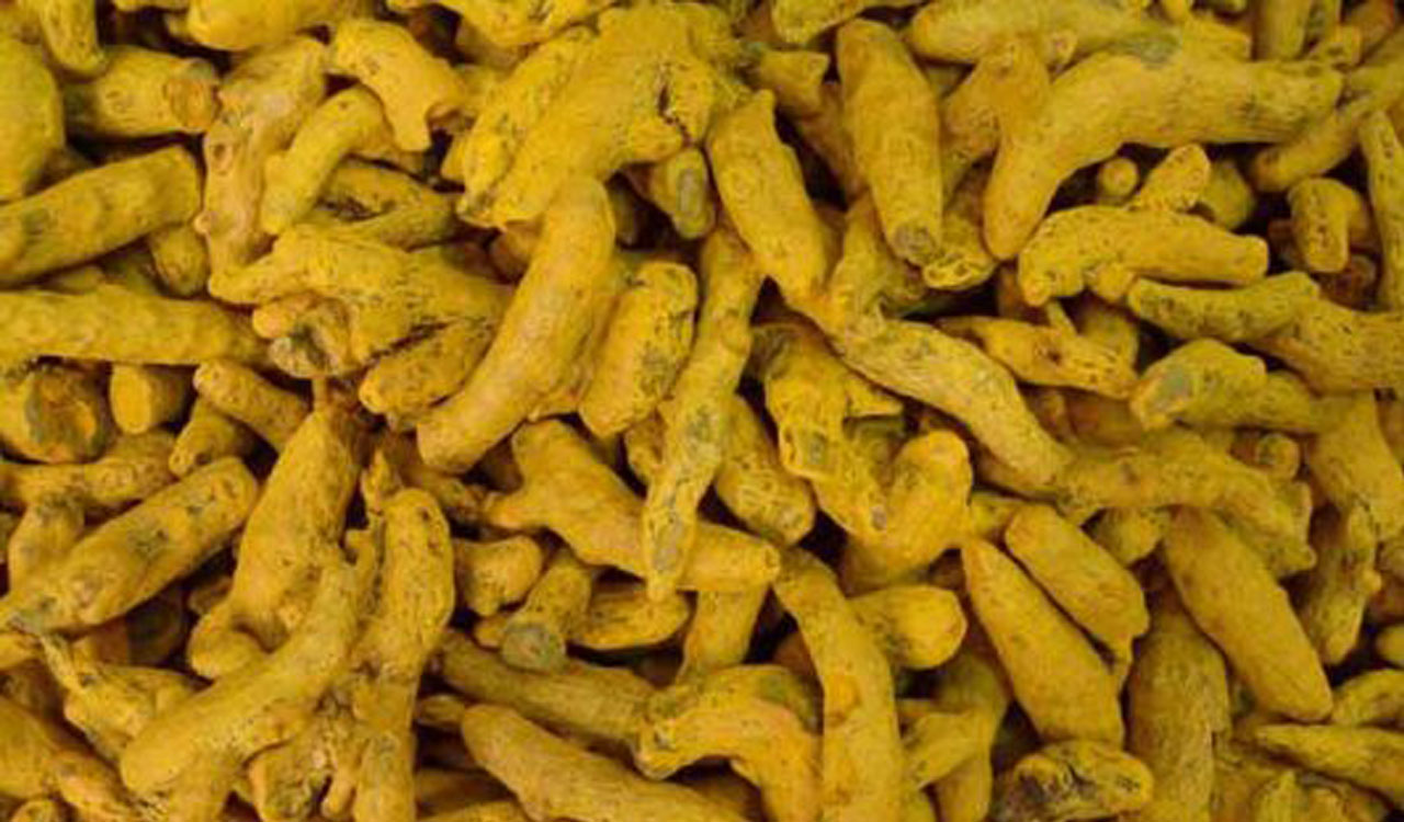 Centre notifies establishment of National Turmeric Board