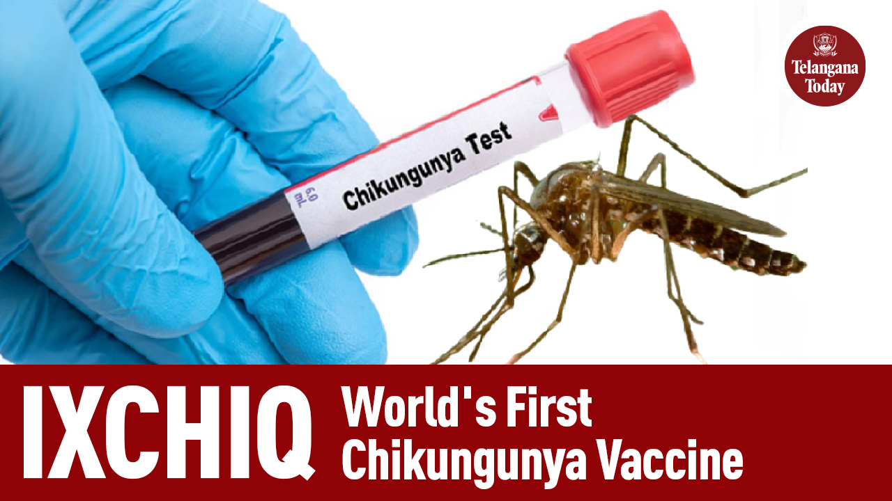Ixchiq: World’s First Chikungunya Vaccine Approved By FDA | Vaccine For Chikungunya | US News