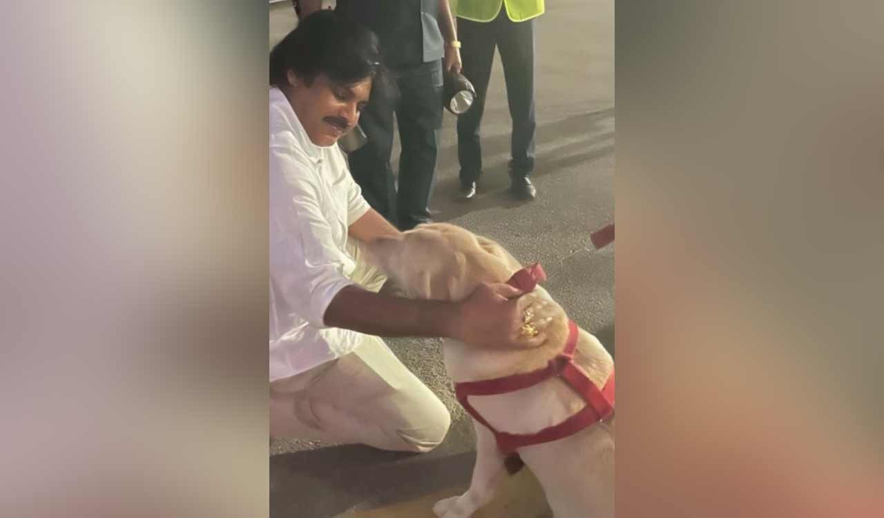 Pawan Kalyan’s heartfelt encounter with dog squad goes viral