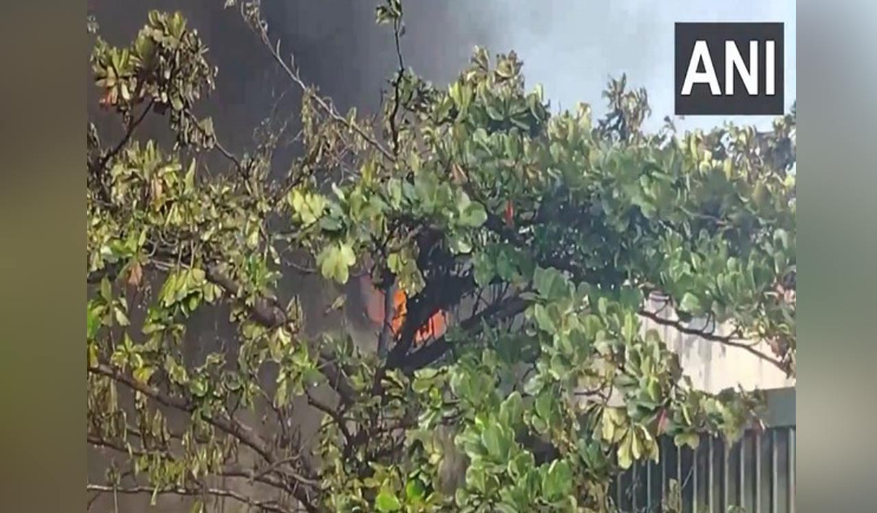 Tamil Nadu: Fire breaks at soap powder godown in Chennai, goods worth Rs 100 crore damaged