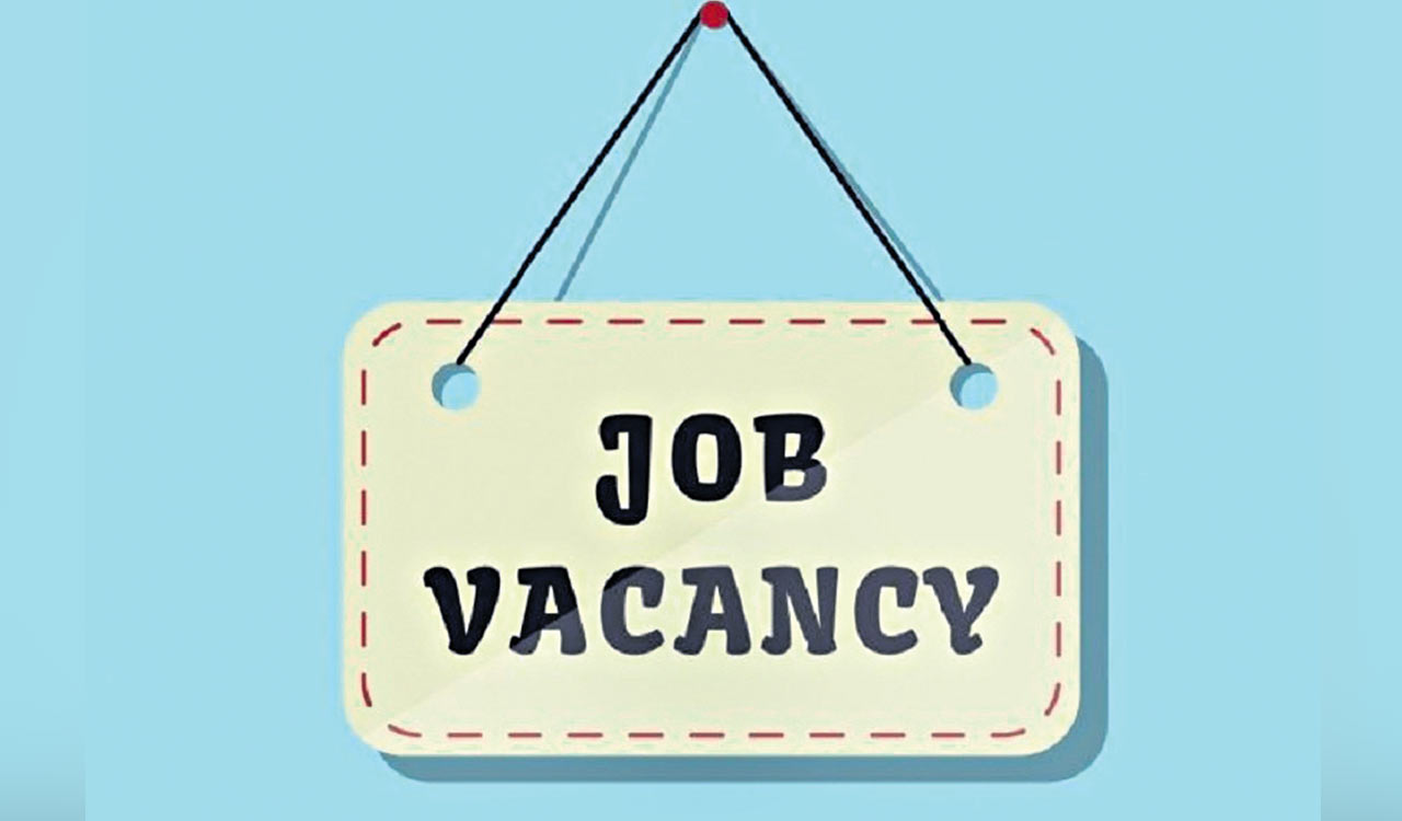 Looking for jobs? DEET is here to help you