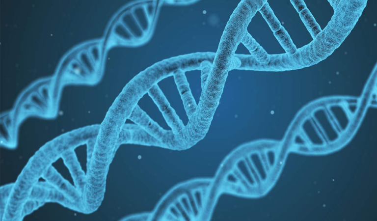 Dna