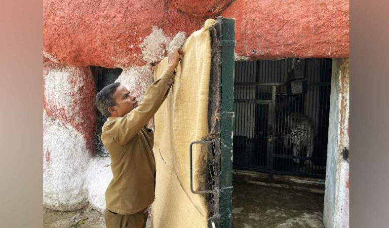Nehru Zoo