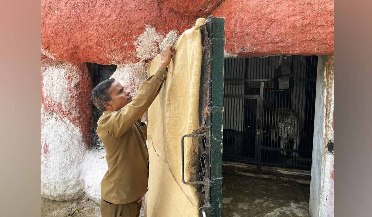 Soon, explore entire zoo sans guide with new app!