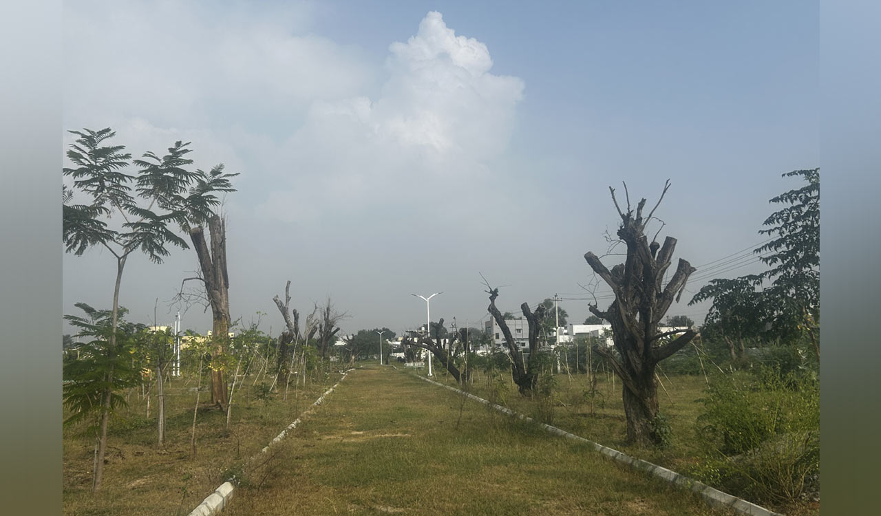 Translocated trees at Cherlapally’s KCR Nandanavanam perish, highlighting neglect