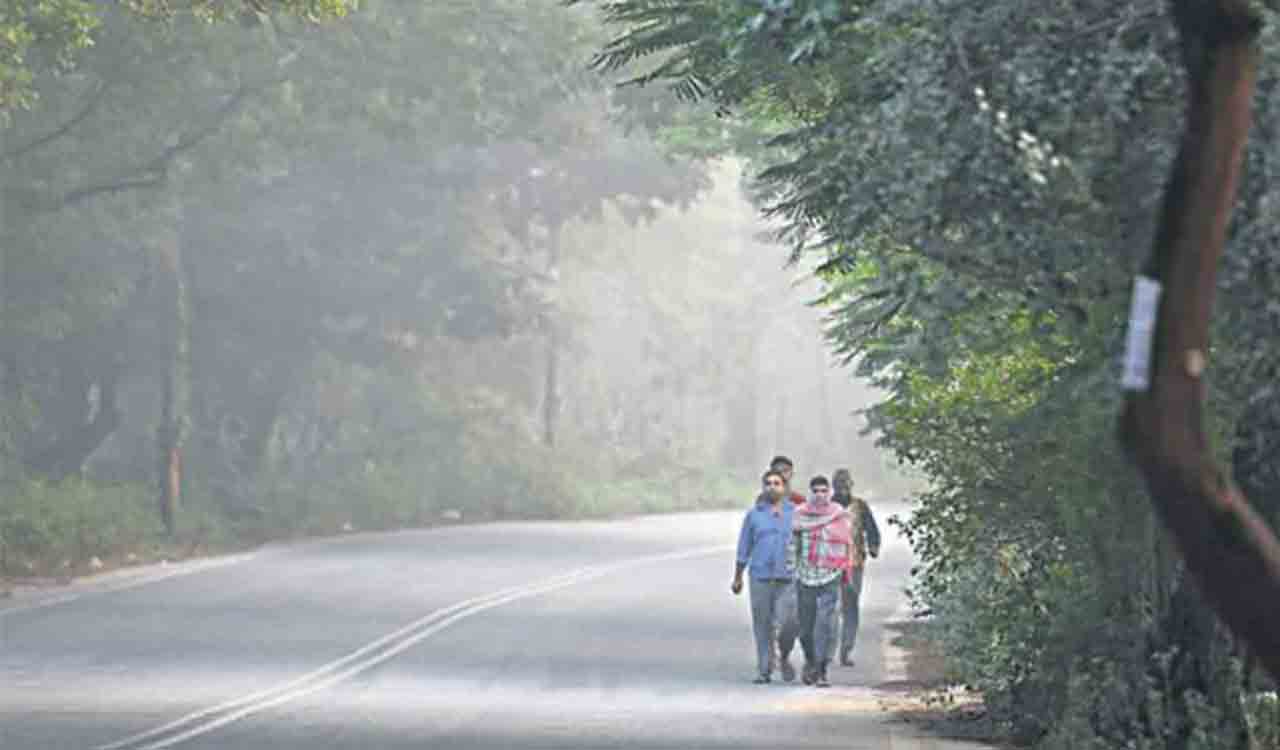 Hyderabad: Foggy conditions ease, minimum temperature surpasses norm