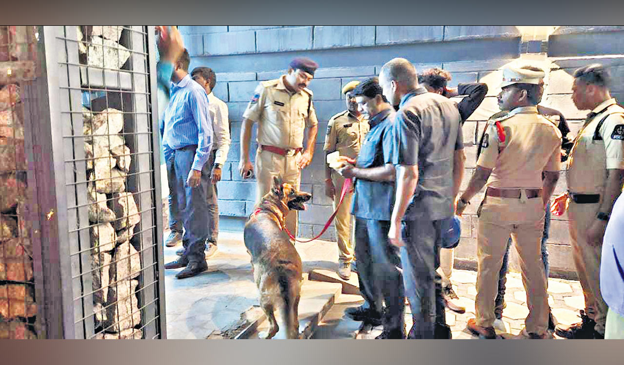 In a first, Hyderabad cops use canines to sniff out drugs