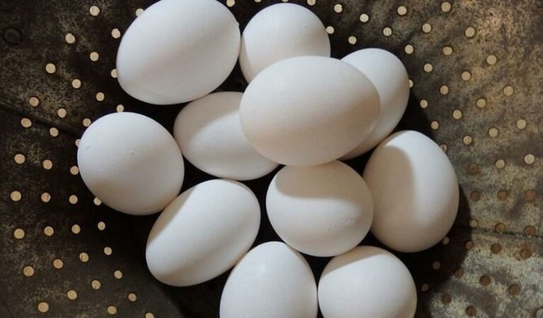 Egg