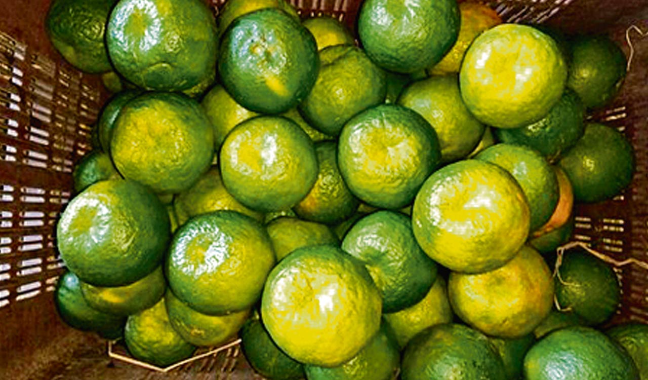 Nagpur orange floods Hyderabad markets