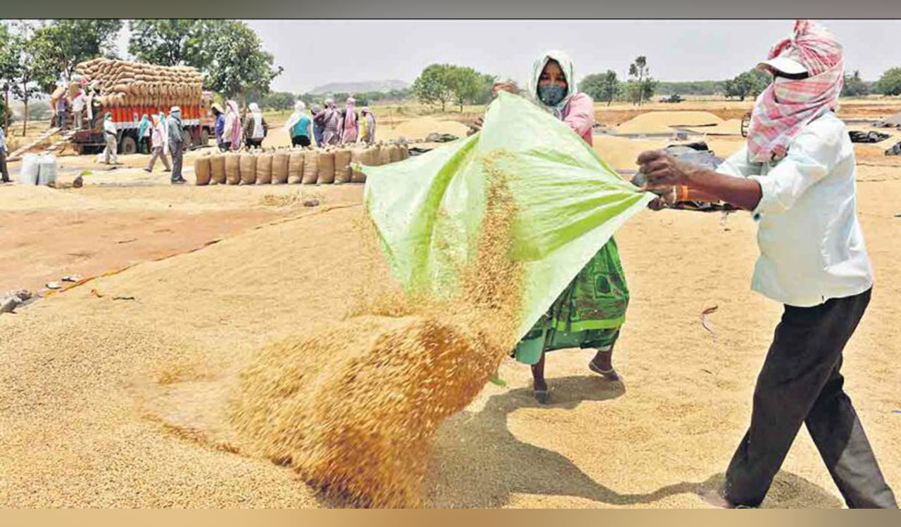 Paddy purchases: Target realisation unlikely