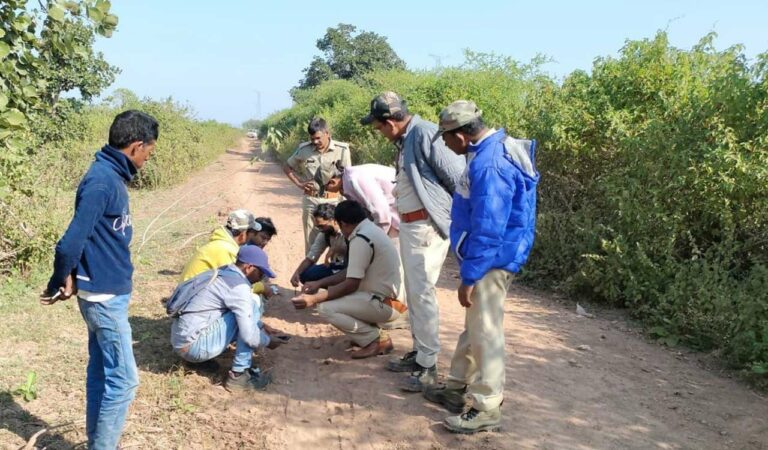 Forest department