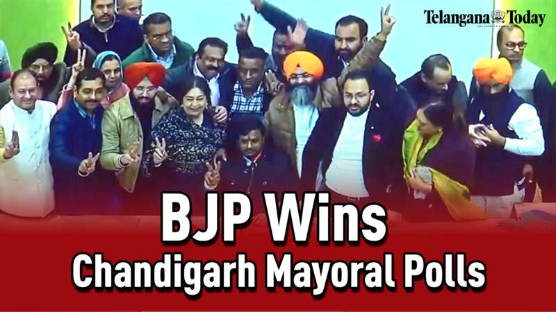 Bjp Wins