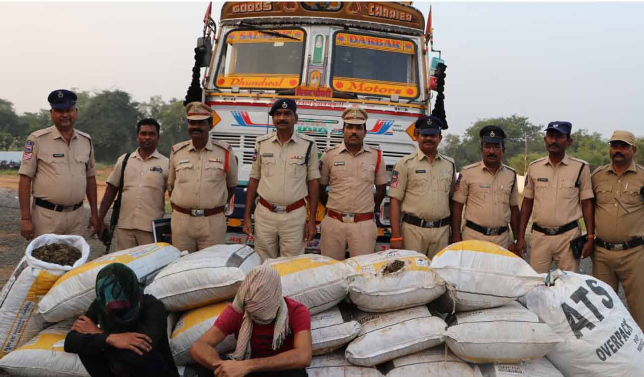 650 Kg Ganja Seized Two Arrested In Kothagudem Telangana Today