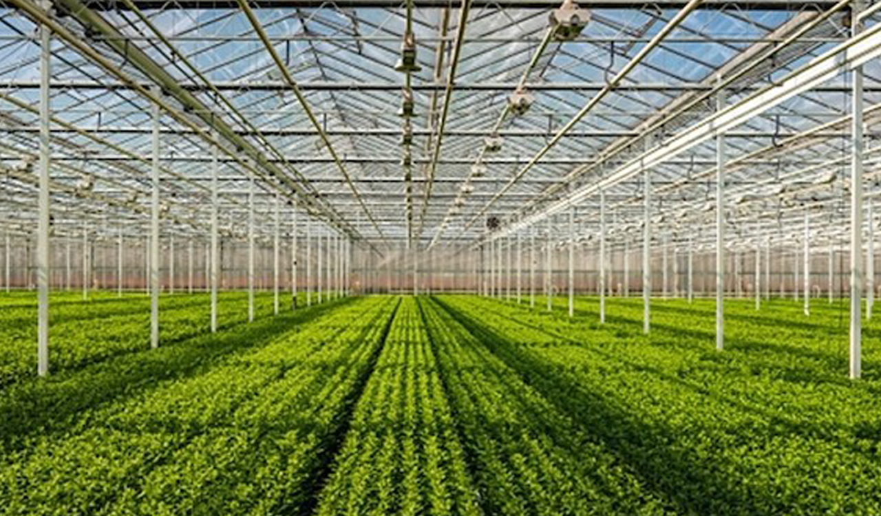 Hyderabad’s Horticulture Dept invites enthusiasts to join special training programs