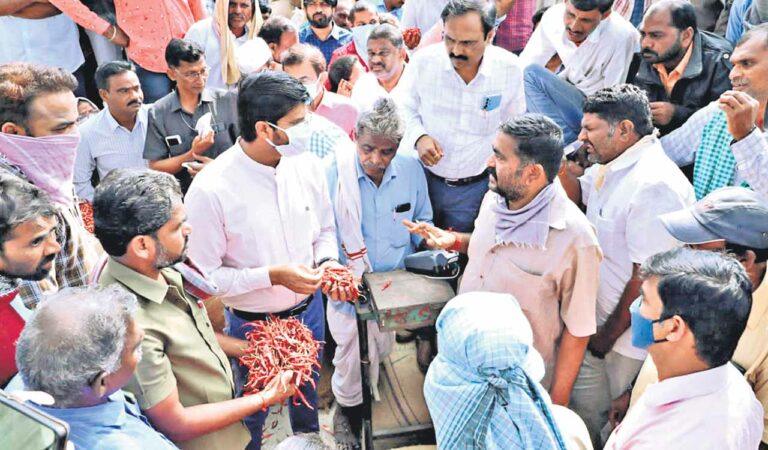 Vp Gautham Chilli Farmers