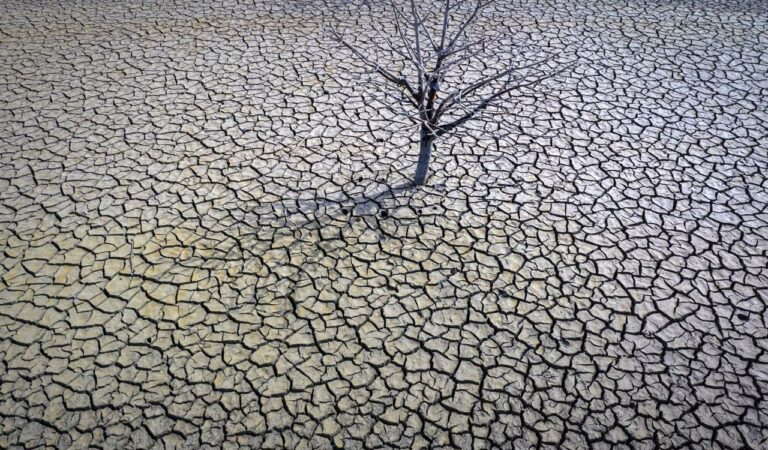 Earth
