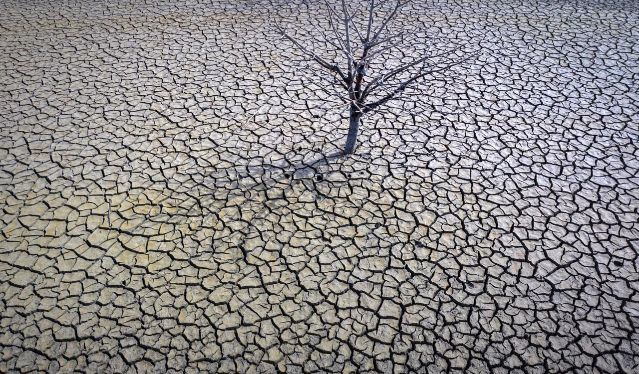 2023 hottest year on record: Earth shows more signs of feverish planet