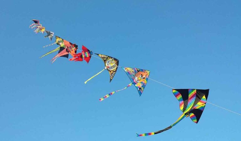 Kite
