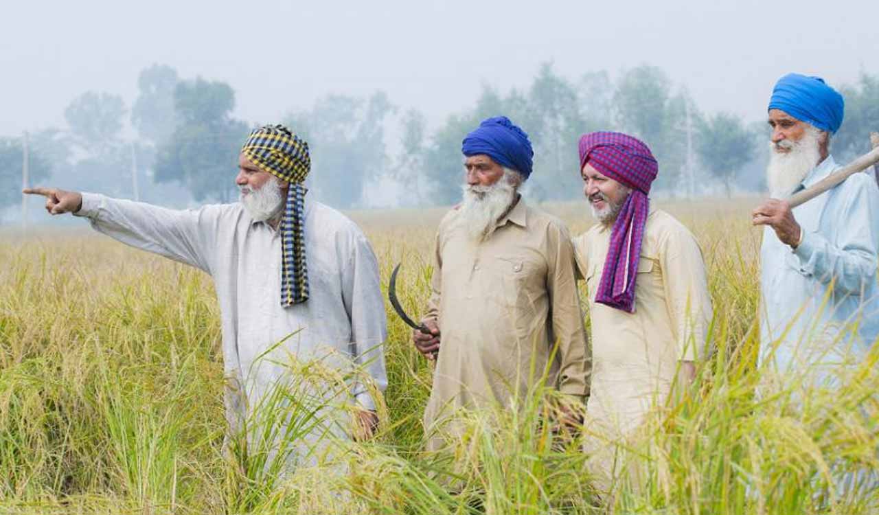 Handover injured farmer to us: Punjab chief secretary to Haryana counterpart