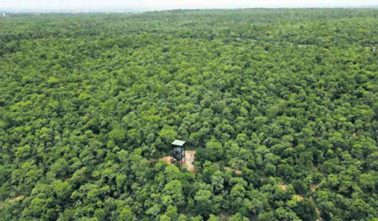 District Forest Officer Neeraj Kumar Tibrewal refuted claims of the promoters of the plant that they had all clearances.