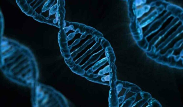 Genes 1